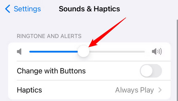 adjust iphone volume