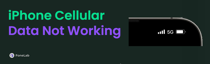 Fix iPhone Cellular Data Not Working