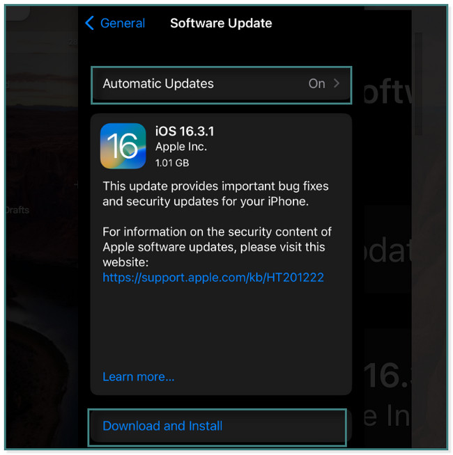tap the Automatic Updates button