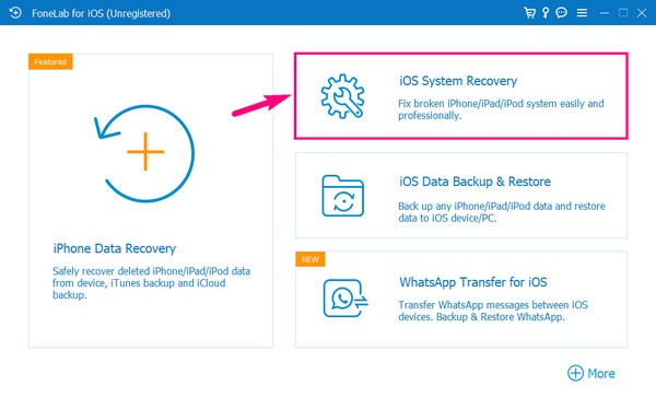 välj funktionen iOS System Recovery