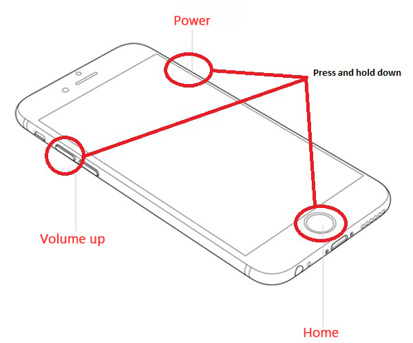 iphone 12 screen flashing white