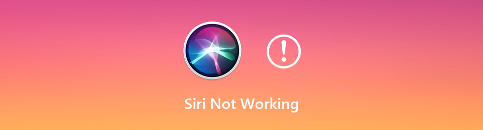 siri not working