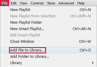 Add File to iTunes