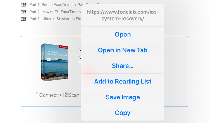 Copy and Paste on iPad copy picture