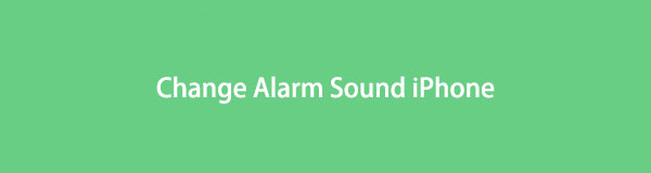 Cómo cambiar el sonido de la alarma en iPhone [Procedimientos fáciles de usar]