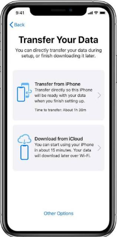 iPhone Transfer Your Data screen - choose Transfer from iPhone