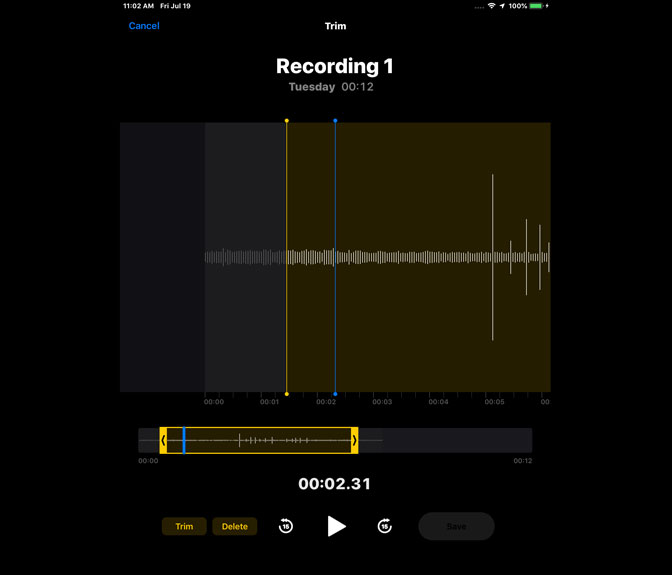 Aufnehmen von Audio auf dem iPad mithilfe von Sprachnotizen bearbeiten