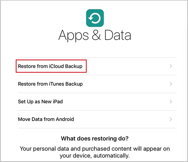 Восстановление из iCloud Backup для синхронизации данных между iPad