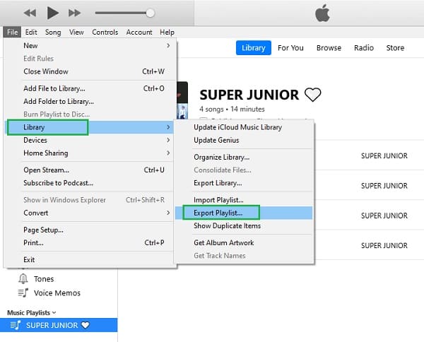 Export Playlist