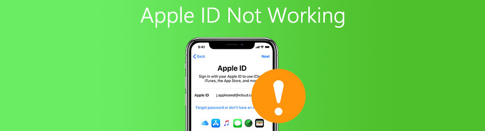 Apple ID 不起作用