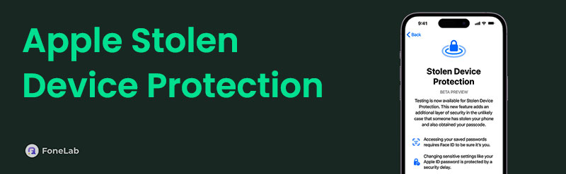 Apple Stolen Device Protection