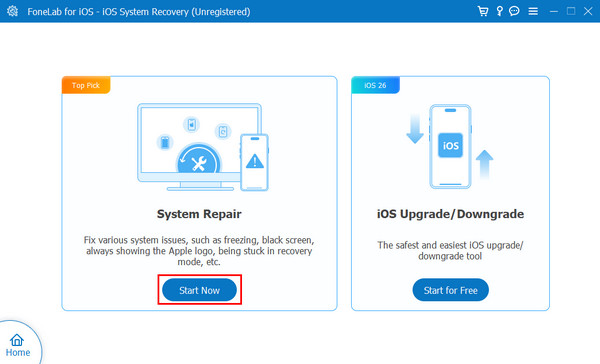 Click Start Now Button