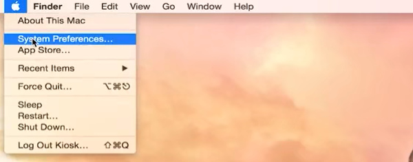 enter mac system preferences