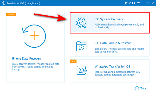 seleccione Recuperación del sistema iOS