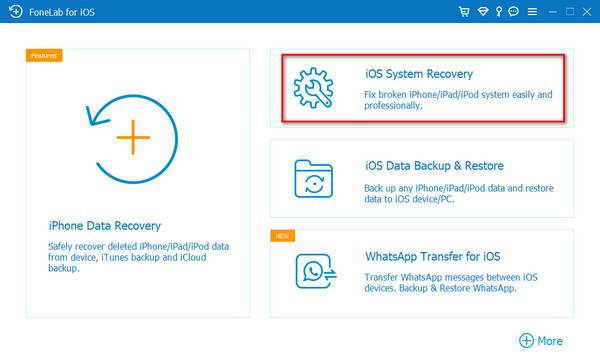 iOS System Recovery