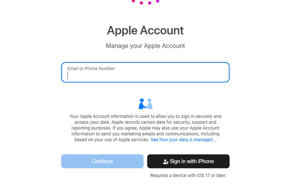 Enter Apple ID Information