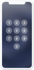 Forgot iPhone screen passcode