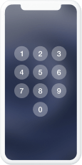 Forgot iPhone Screen Passcode