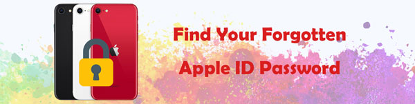 Vind uw vergeten Apple ID-wachtwoord op Windows / Mac / iPhone / iPad