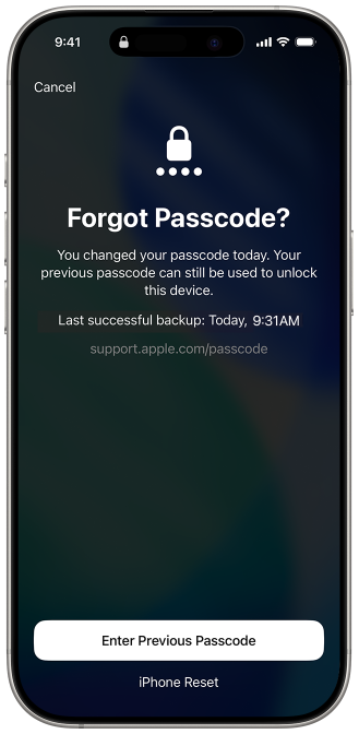 enter previous passcode