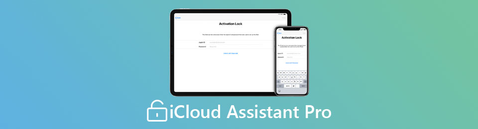 iCloud Assistant Pro - Użyj iCloud Assistant Pro, aby usunąć hasło iCloud