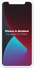 iPhone Devre Dışı