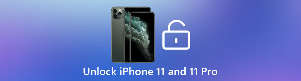 Unlock iPhone 11 & 11 Pro without Password
