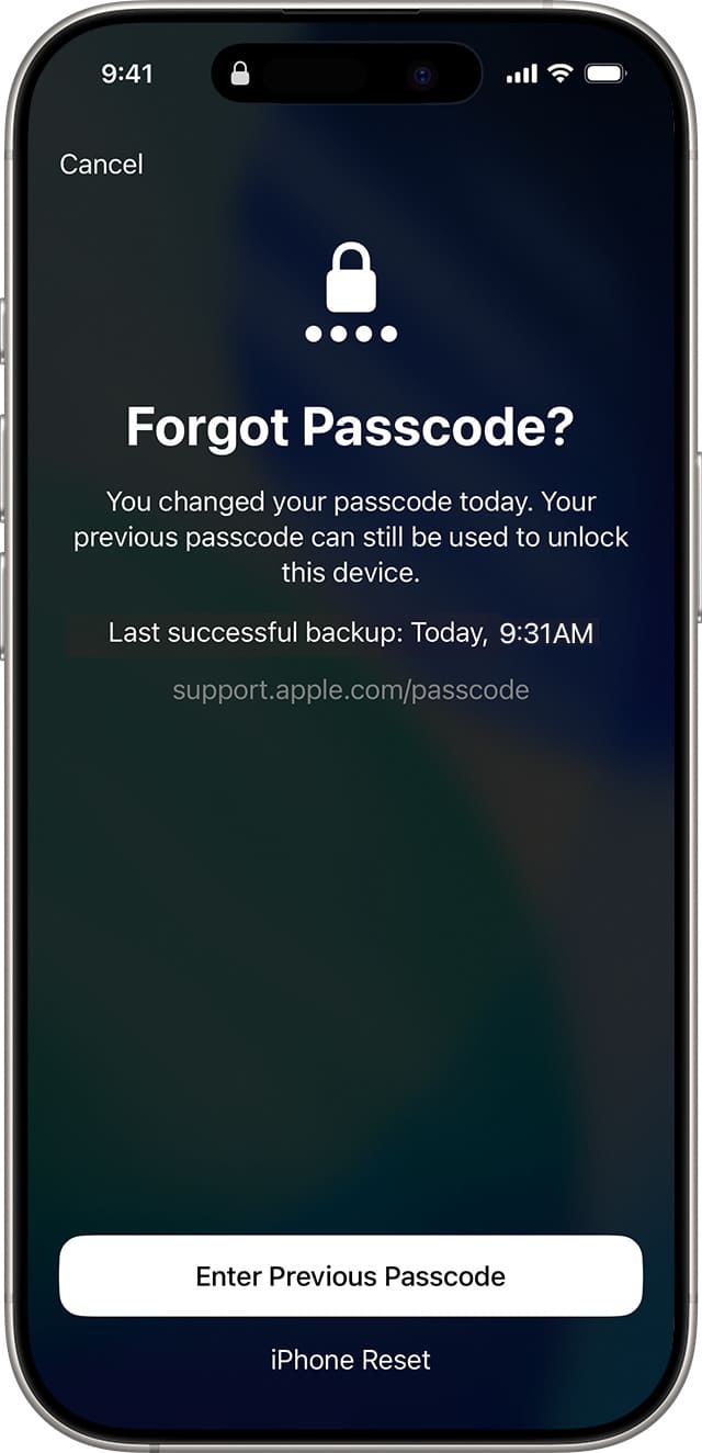 enter previous passcode