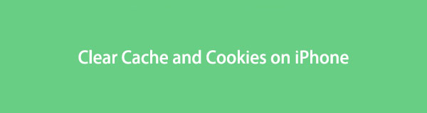 Clear Cache and Cookies on iPhone Using The Finest Guide