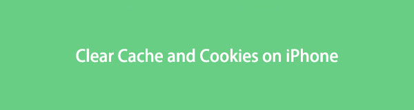 Effacer le cache et les cookies sur iPhone à l'aide du meilleur guide