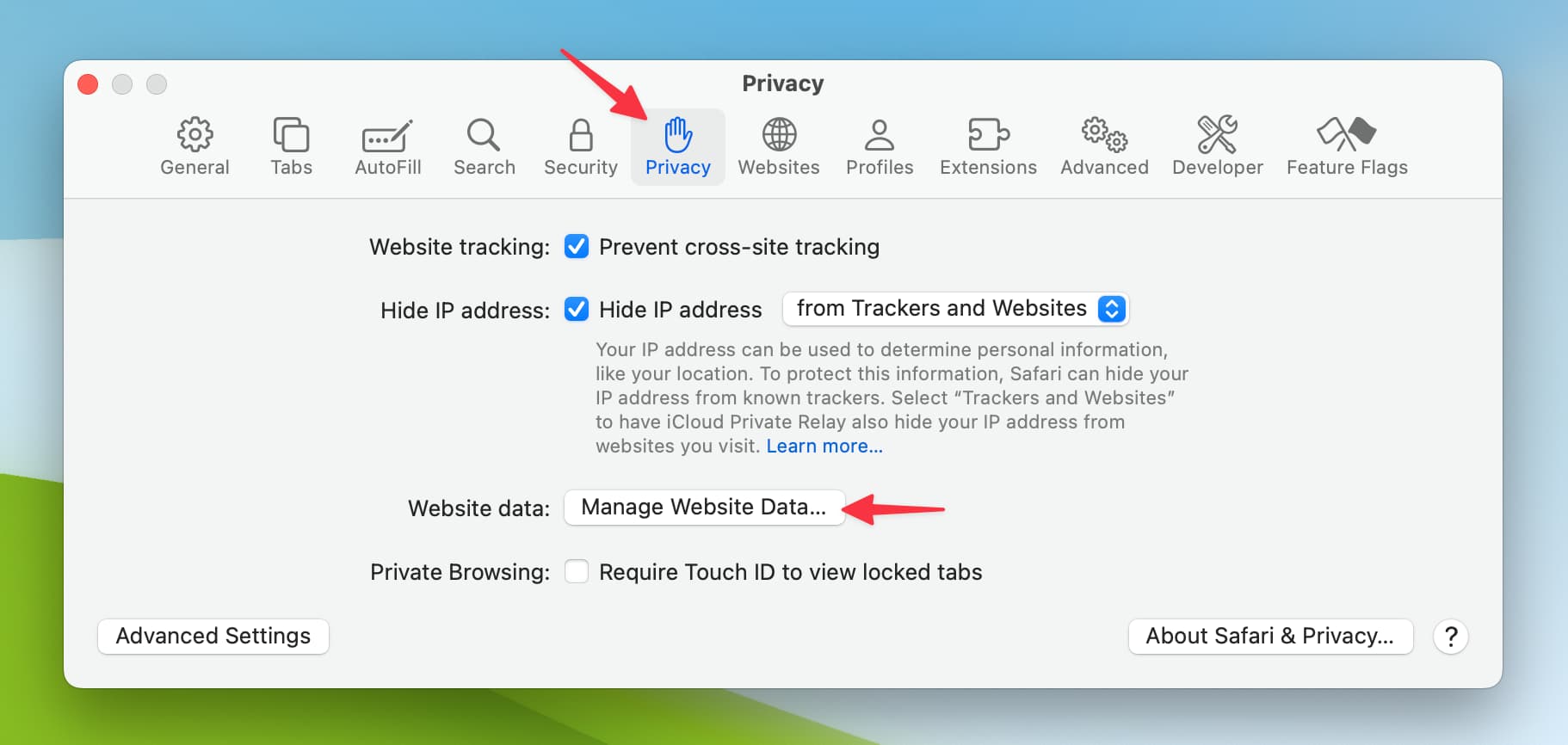 manage website data on mac
