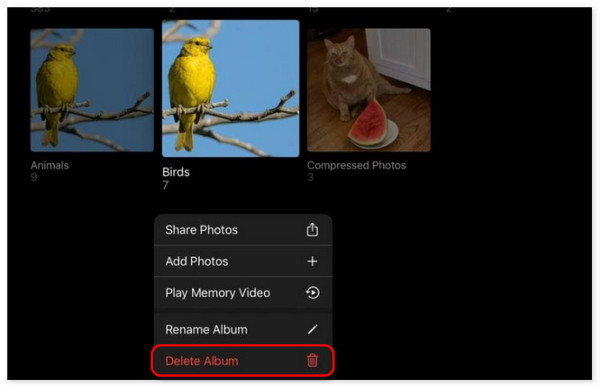 delete album on ipad