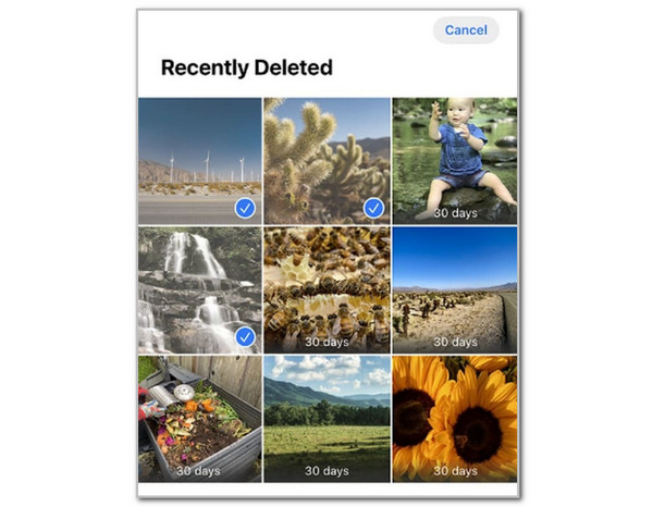 Select All Photos