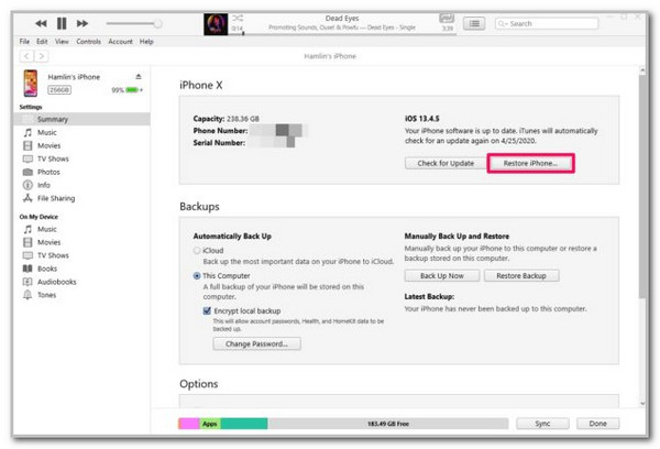 Click Restore iPhone or iPad Option