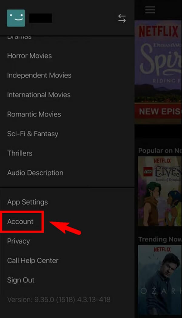 Access the Netflix mobile app