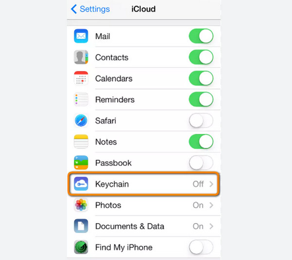 Icloud Keychain Interface