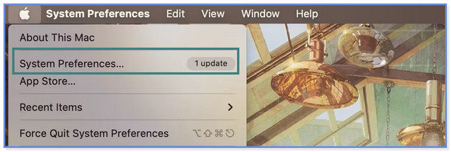 choose the System Preferences icon
