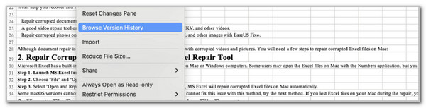 Click Browse Version History Button