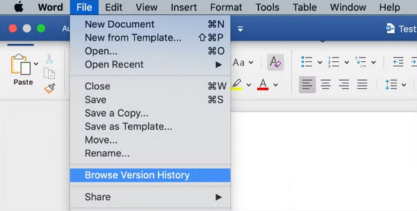 Recover Document Via Browse Version History