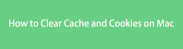 Hassle-free Approaches to Clear Cache and Cookies on Mac