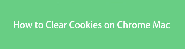 Excellent Modes on How to Clear Cookies on Mac Chrome