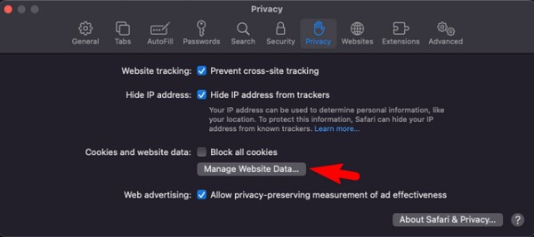 klicka på hantera webbplatsdata