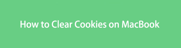 Borrar cookies en MacBook usando una guía completa