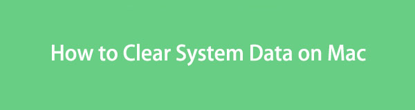 How to Clear System Data on Mac - 4 Proven and Tested Ways