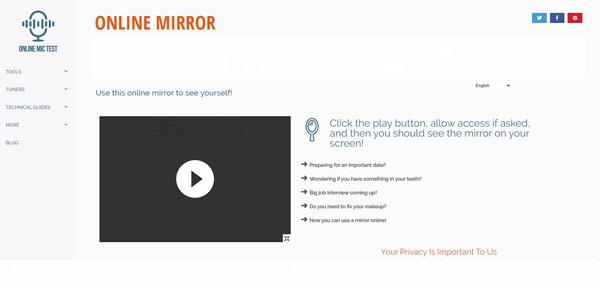 Espejo de cámara web en línea