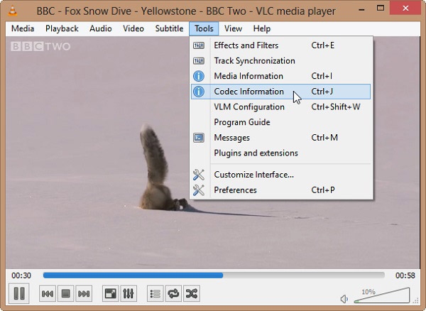 codec information