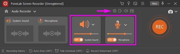 Adjust the system and microphone volume sounds