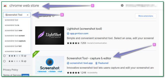 type in Screenshot Tool