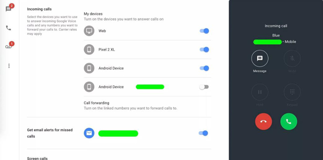 Google Voice Call