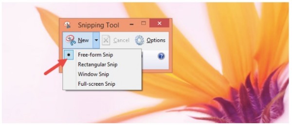 screenshot with the snipping tool
